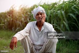 हरियाणा में किसानों पर 60 करोड़ से अधिक फसल कर्ज, जींद-हिसार-सिरसा समेत कई जिलों में संकट गहराया